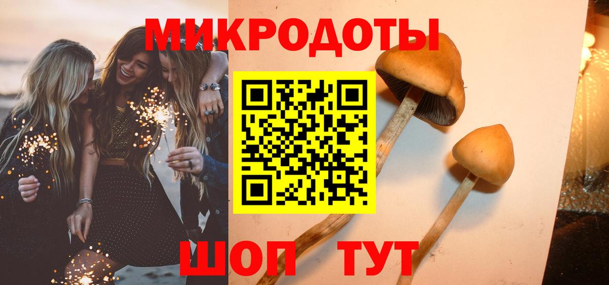 Галлюциногенные грибы MAGIC MUSHROOMS Котлас
