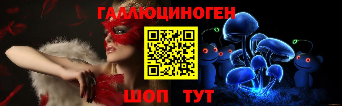 Псилоцибиновые грибы Psilocybe  Вход с VPN  Котлас  Псилоцибиновые грибы Cubensis 